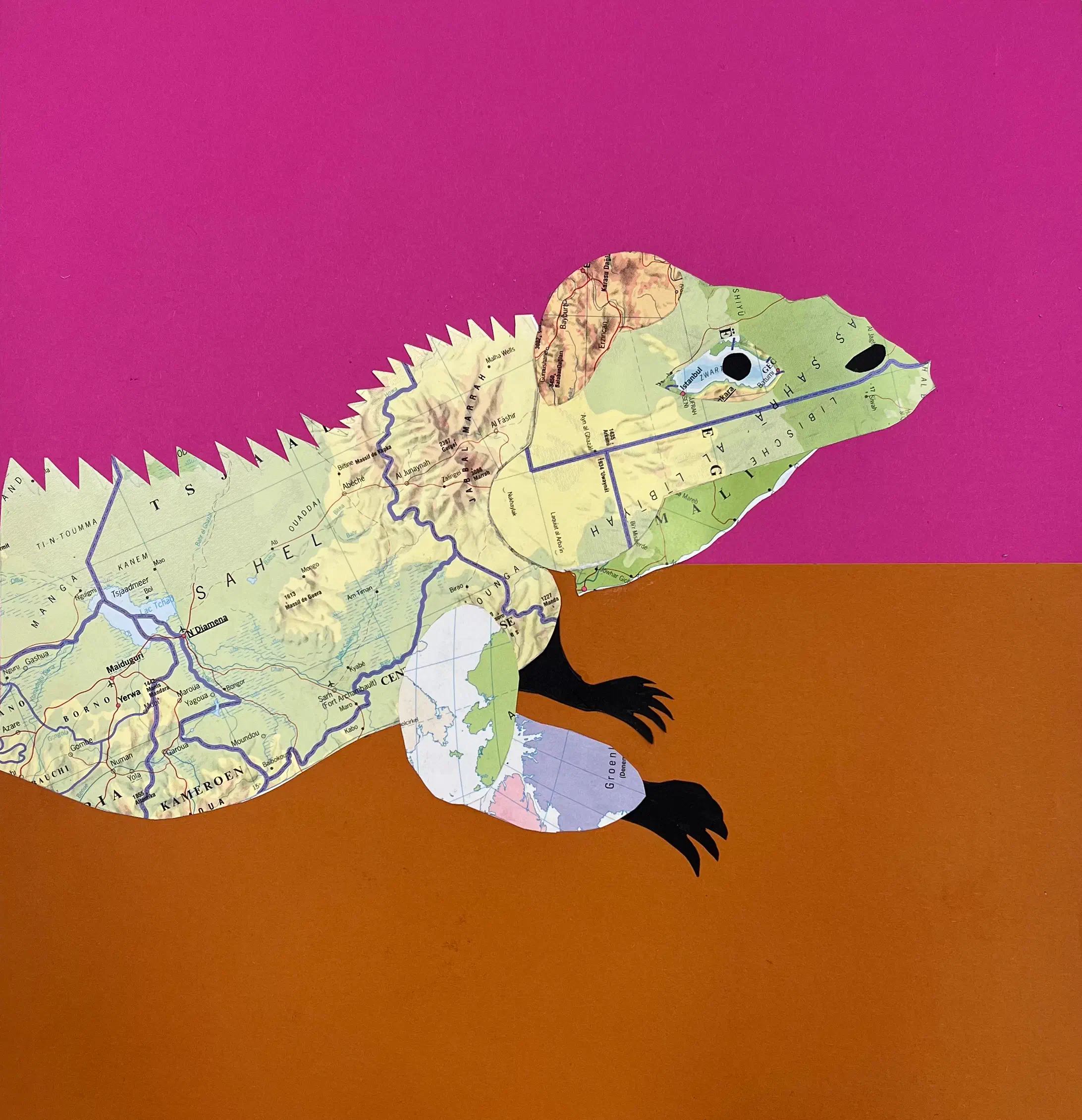 Iguana